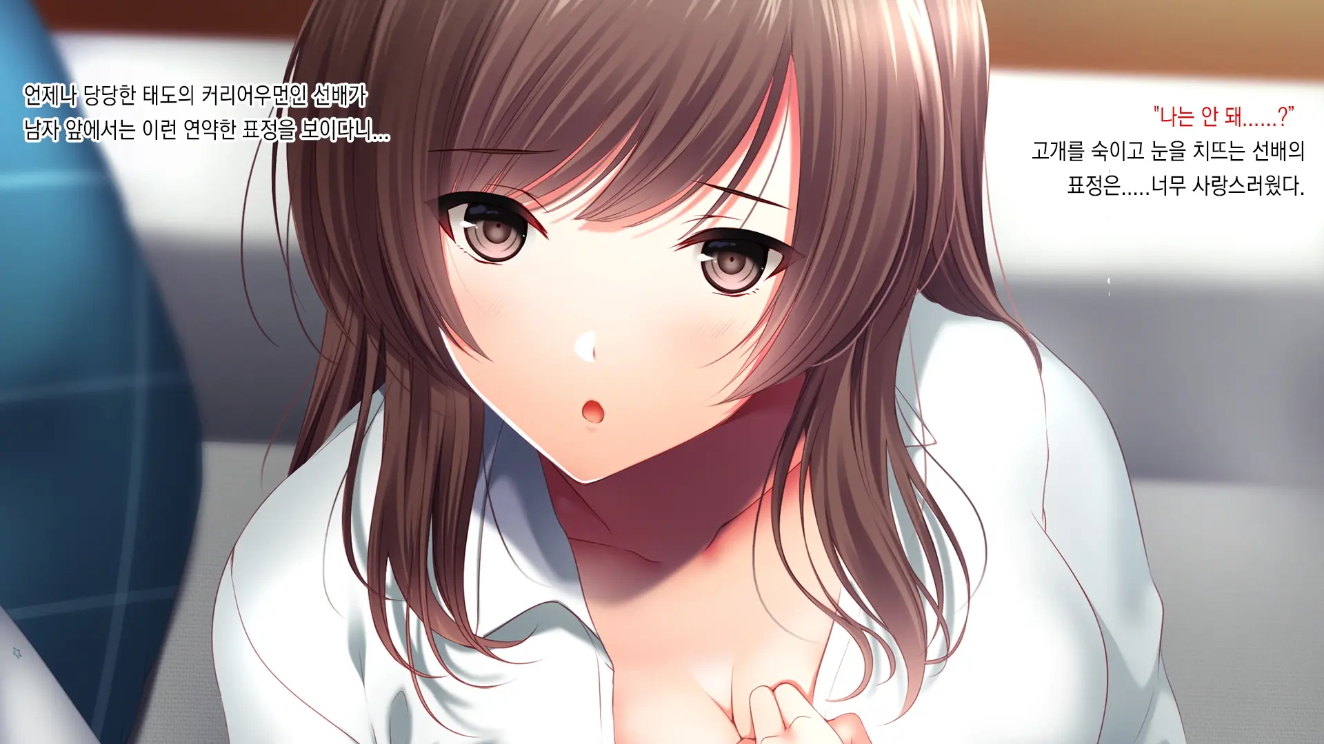 Senpai Ni Gyaku Netorare Sarete Hamemakutta Hibi | 선배에게 역네토라레당해섹스했던나날들